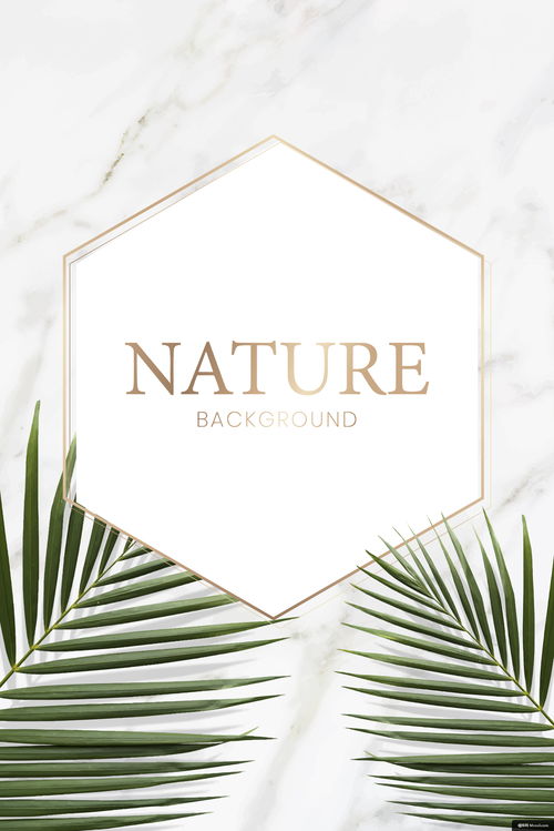 《葉語情緣》——邀您共赴熱帶花園婚禮盛宴